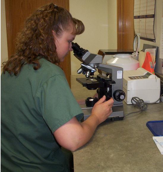 St. Boni Pet Hospital Tour Our Clinic